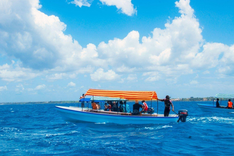 Zanzibar: Mnemba Dolphin, Jozani Forest & Turtle Sanctuary Private Tour without Hotel transfer