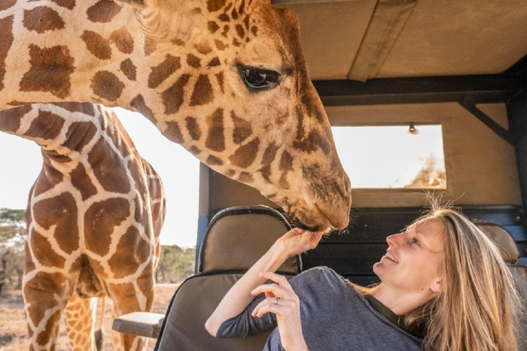 Tour del Centro delle Giraffe, dell'Orfanotrofio degli Elefanti e di Bomas Nairobi