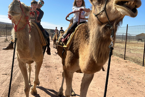 Las Vegas: Desert Camel Ride