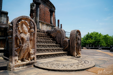 Polonnaruwa: Ancient City Tour & Minneriya Elephant Safari Pickup From Dambulla/Sigiriya/Habarana