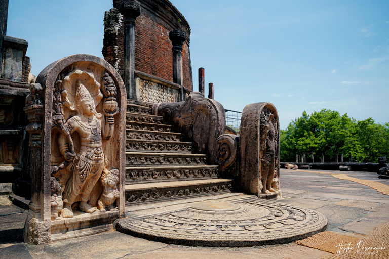 Polonnaruwa: Ancient City Tour & Minneriya Elephant Safari Pickup From Dambulla/Sigiriya/Habarana