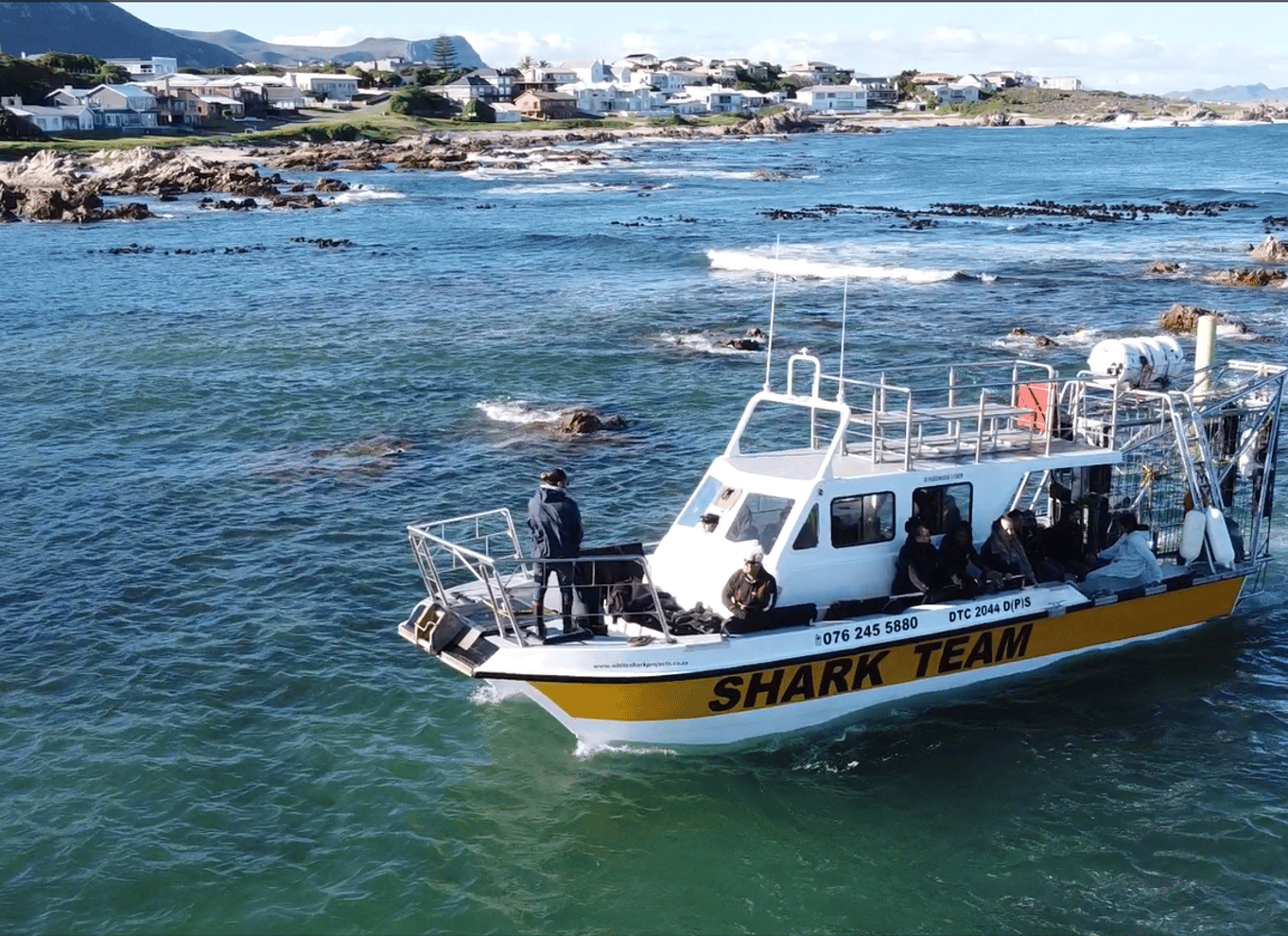 Fra Hermanus eller Cape Town: Oplevelse med hajbur-dykning