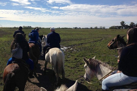 Gaucho Day Tour Don Silvano Estancia From Buenos Aires