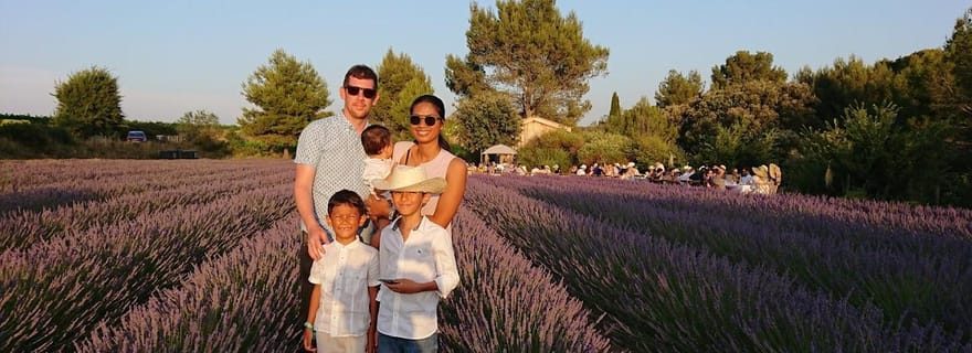 Montpellier : Visite d'un champ de lavande et d'un moulin à huile d'olive