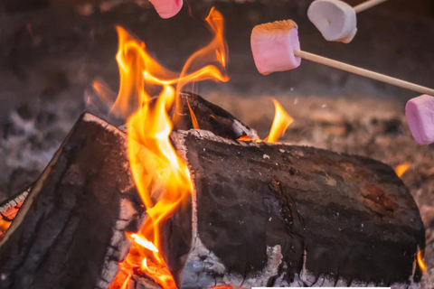 Toronto: Algonquin Provincial Park 2-Day Camping Trip