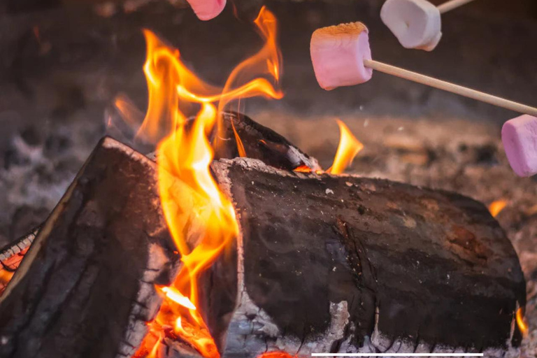 Toronto: Algonquin Provincial Park 2-Day Camping Trip