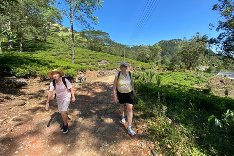 Kandy: Wakarewatta Nature & City Tuk Tuk Tour with Lunch