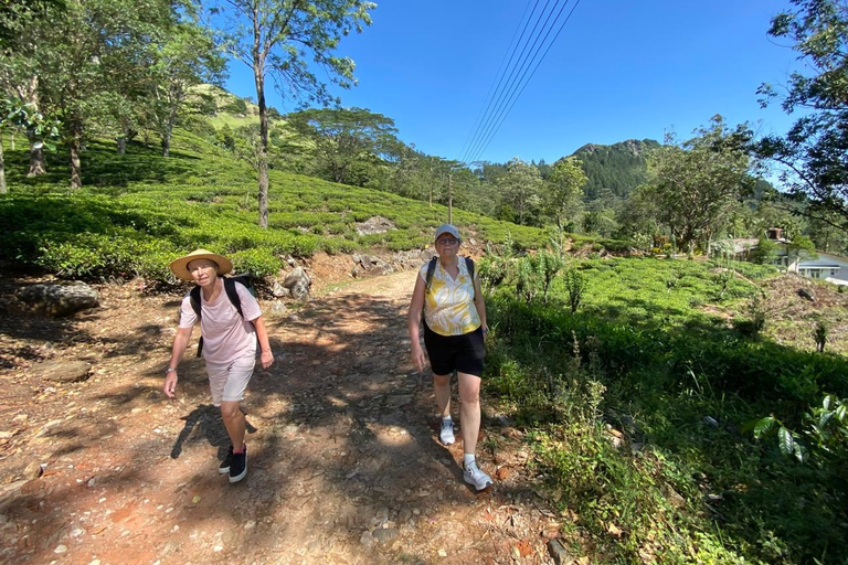 Kandy: Wakarewatta Nature & City Tuk Tuk Tour with Lunch