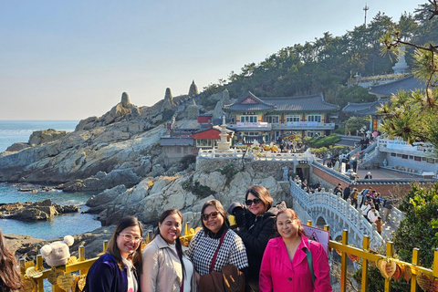 Busan: Private Customized Tour with Licensed Guide & Vehicle 4-hour private tour with a exclusive vehicle