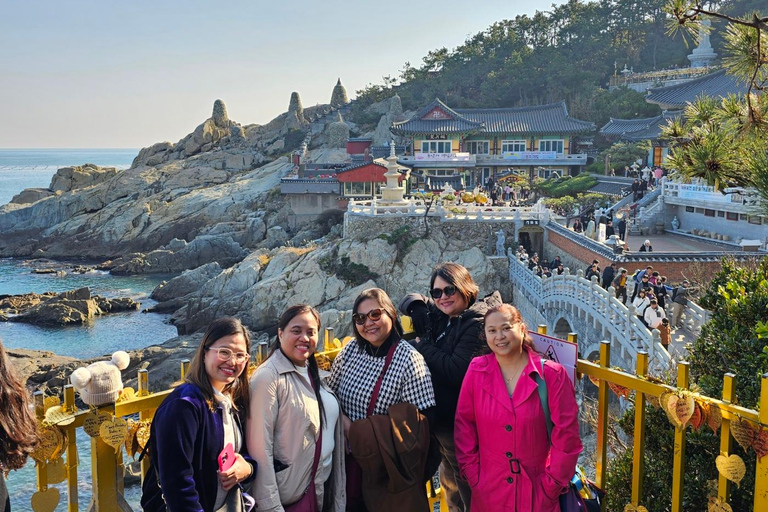 Busan: Private Customized Tour with Licensed Guide & Vehicle 4-hour private tour with a exclusive vehicle