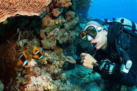 Hurghada: Dive Experience for Beginners or Certified Divers Full-Day Scuba Diving for Certified Divers