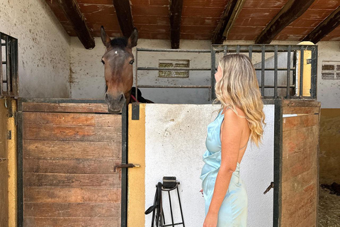 Norway-Gålå: Horseback Riding Tour with Refreshments