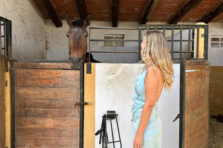 Norway-Gålå: Horseback Riding Tour with Refreshments