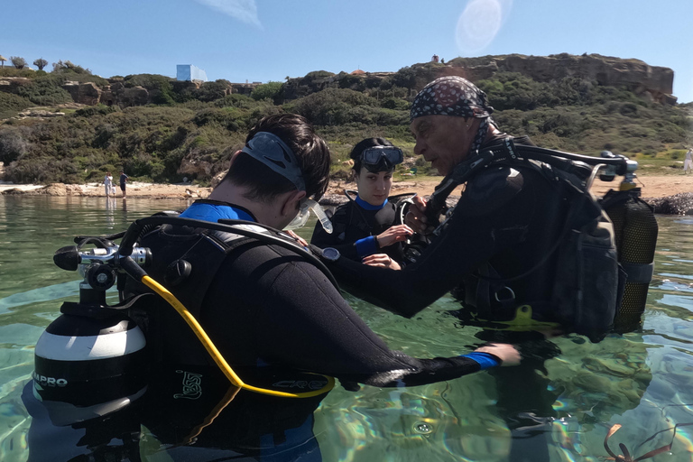 Paphos: Entdecken Sie das Tauchen mit Abholung