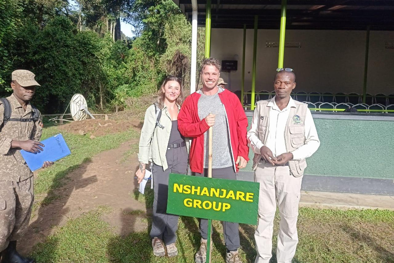3-Day Gorilla Habituation Experience in Uganda