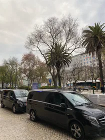 Stadtführung durch Lissabon; in einem privaten Auto