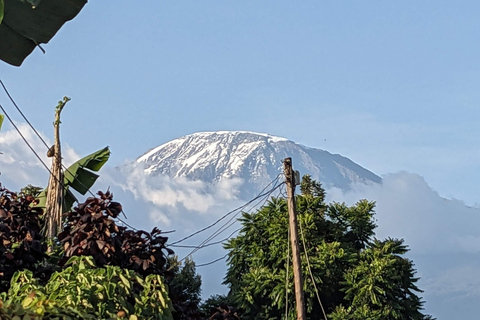 Kilimanjaro klättring: 1-dagars Marangu Route-upplevelse