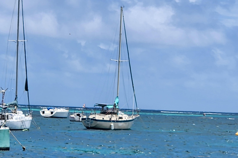 St. Thomas: Customizable Half-Day Tour with Snorkeling