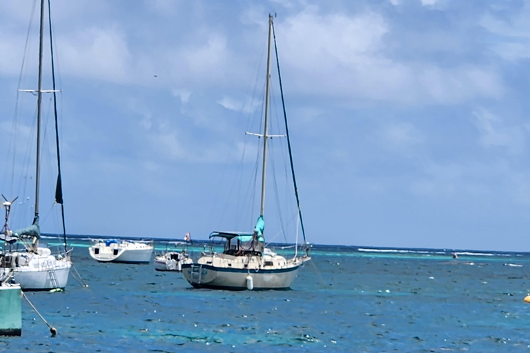 St. Thomas: Customizable Half-Day Tour with Snorkeling