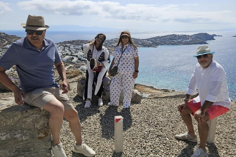 Cruzeiro guiado em Mykonos com um jipe exclusivo para passageiros: Visita obrigatória em 4h