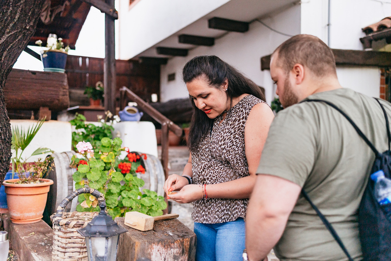 Teide: Tour bei Nacht mit Abendessen und Sternenhimmel