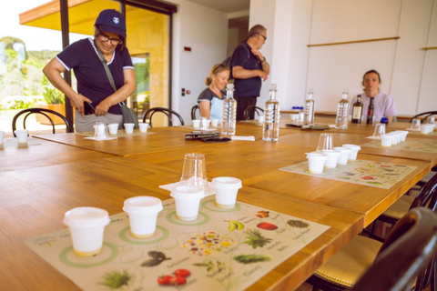 Florença: Fiesole E-Bike Tour com prova de azeite