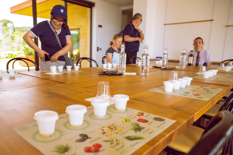 Florença: Fiesole E-Bike Tour com prova de azeite