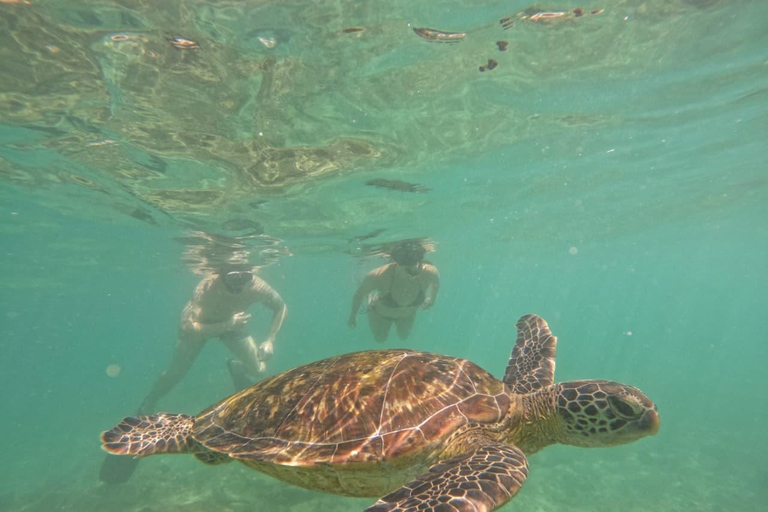 SH Snorkeling Club Mirissa