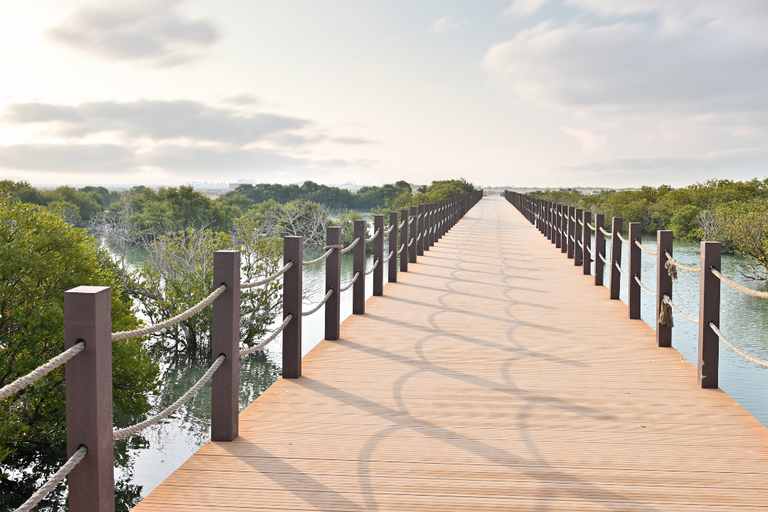 Doha : North of Qatar & Heritage Tour UNESCO Sites Mangroves