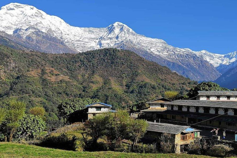 Mohare Danda Trek: Caminhada curta e fácil