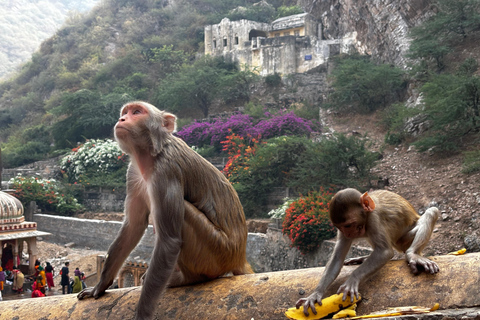 Tour del Triángulo de Oro con Rishikesh en Coche 7 Noches / 8 DíasCoche Ac + Guía turístico