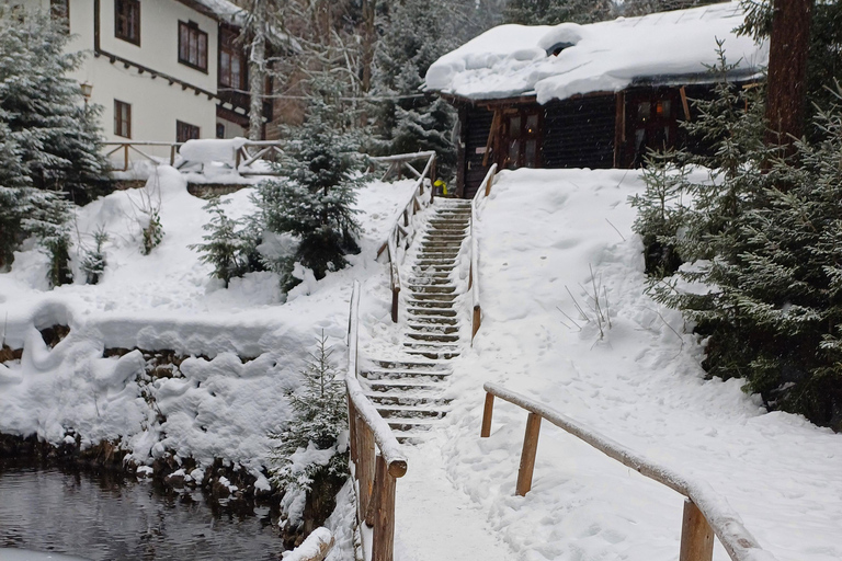 博罗韦茨徒步和雪橇之旅，参观比斯特里察皇家宫殿博罗维茨徒步和雪橇之旅，参观比斯特里察皇家宫殿