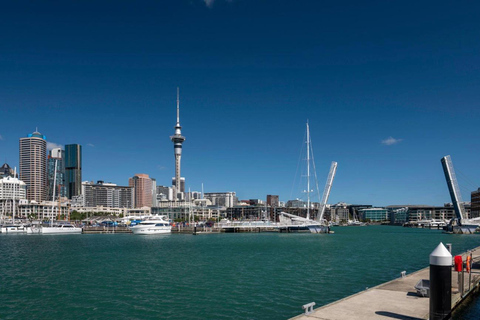 Auckland Harbour Lunch Cruise with Buffet Lunch