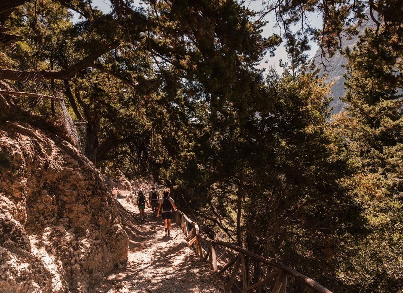 Fra Chania: Heldagsudflugt i Samaria-kløften med guide