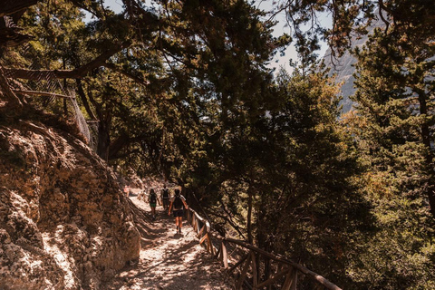 Desde Georgioupolis Ruta de un día por la Garganta de Samaria con guía