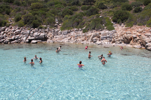 Bodrum Full-Day Orak Island Boat Tour with Lunch