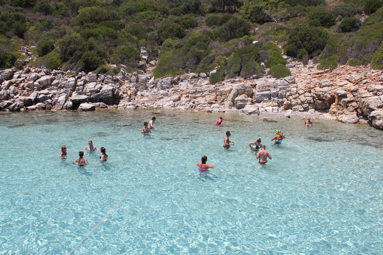 Bodrum Full-Day Orak Island Boat Tour with Lunch