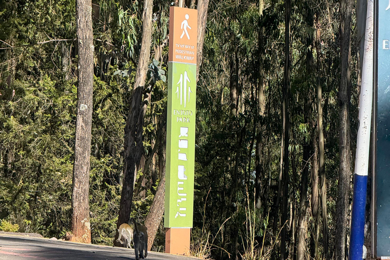 Addis Ababa: Entoto Forest Walk & Craft Workshop Tour