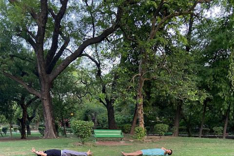 Nuova Delhi: Yoga rilassante al sole nei giardini di Lodhi