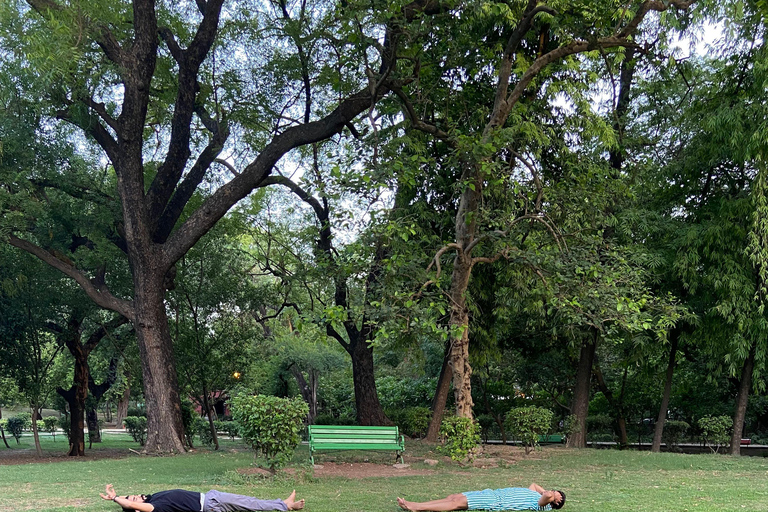 Nuova Delhi: Yoga rilassante al sole nei giardini di Lodhi