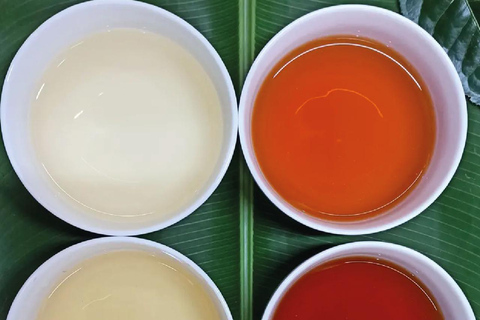 Boquete, Chiriquí: An ancient flavor in a tea leaf Boquete, Chiriquí: Dive into the world of tea