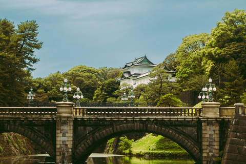 Tokio: One Day Charter Private Tour mit englischem Fahrer