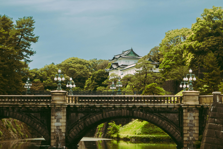 Tokio: Tour privado de un día con chófer inglés