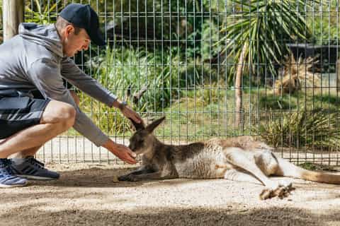 From Sydney: Blue Mountains Full-Day Trip with Cruise