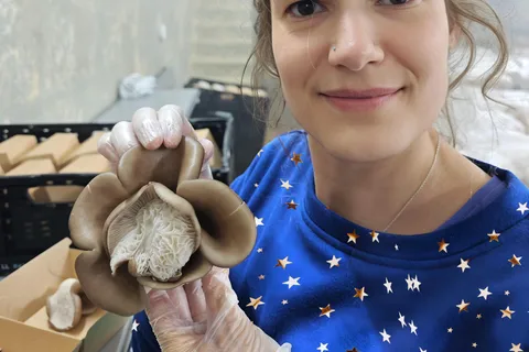 Zürichs bestgehütetes Geheimnis: Die verborgene Welt der Pilze!