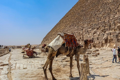 Sharm El Sheikh: Grote Piramides, Sfinx, Museum Tour per Bus