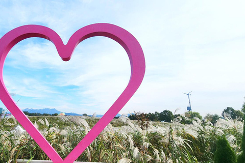 Seoul: Hidden Autumn Foliage, Cafe Pokpo, Nami Island & More D. Autum Foliage & Cafe POKPO & Eunpyeong Hanok& Haneul Park