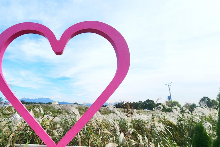 Seoul: Hidden Autumn Foliage, Cafe Pokpo, Nami Island & More D. Autum Foliage & Cafe POKPO & Eunpyeong Hanok& Haneul Park