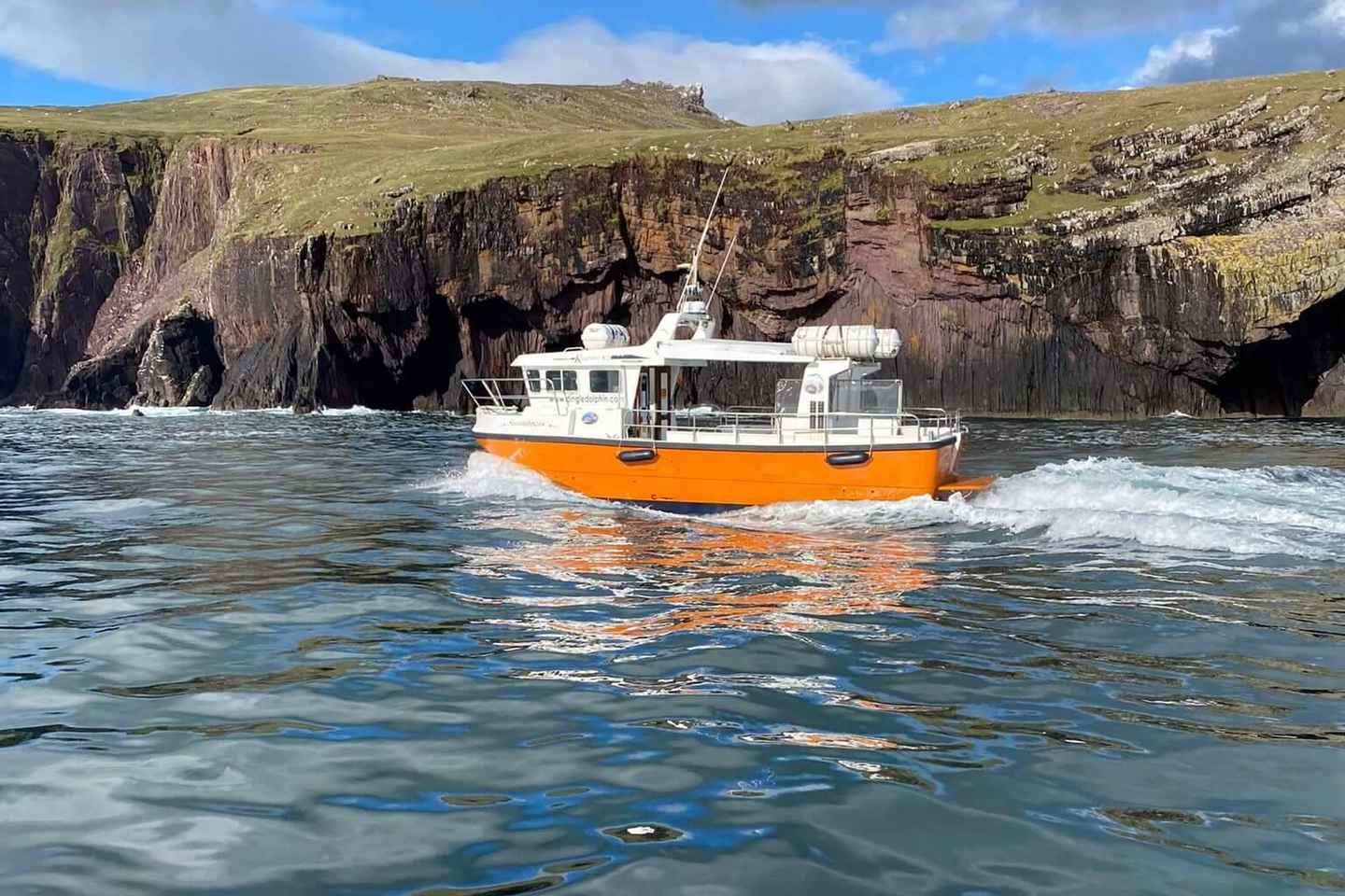Dingle: Dingle Bay Cliffs Boat Tour with Guide (1 Hour)