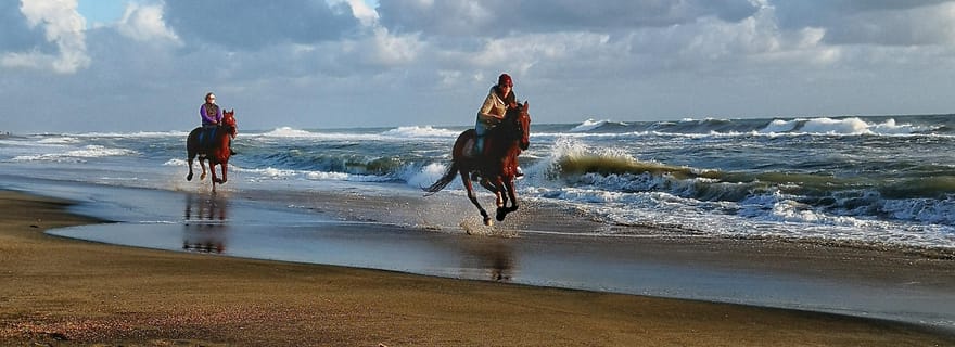 Rome à cheval : l'ancienne Ostie et la plage avec apéritif
